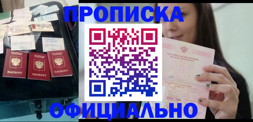 прописка законно в Кингисеппе